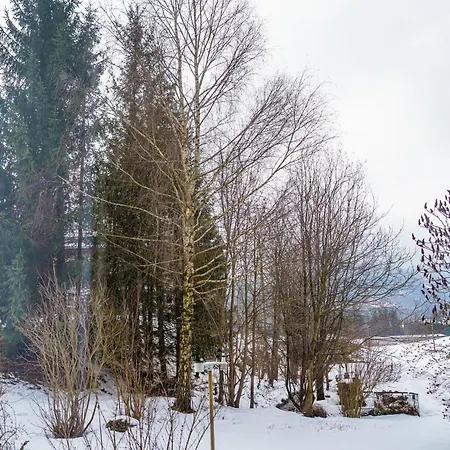 Mit Stellplatz, Ruhig Gelegen, Nahe Bahnhof, Ideal Fuer Wander- & Skiurlaub * Pichl bei Aussee