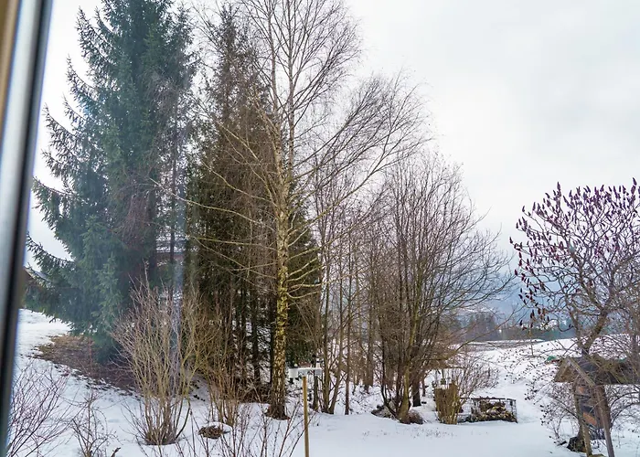 Mit Stellplatz, Ruhig Gelegen, Nahe Bahnhof, Ideal Fuer Wander- & Skiurlaub * Pichl bei Aussee